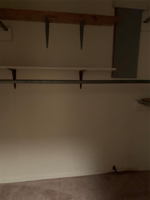 28153 County Street 2540Th, St, Fort Cobb, OK 73038 - spacious closet featuring carpet floors