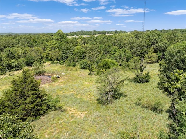 16611 E County Road 1641, Foster, OK 73434 - photo 32