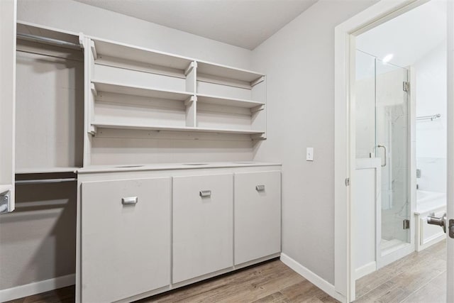 3343 Teton Cir, Norman, OK 73072 - walk in closet with light wood-style flooring