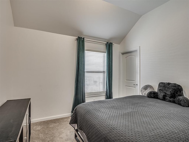 3760 Black Mesa Rd, Norman, OK 73071 - bedroom featuring carpet and lofted ceiling