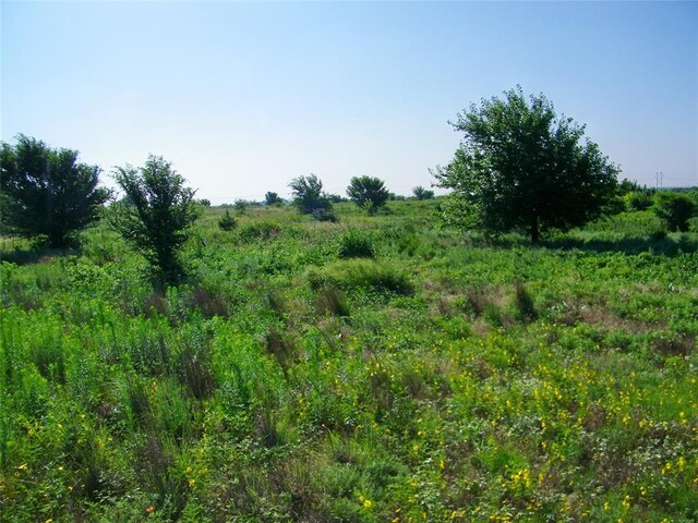 County St Unit 2700, Cyril, OK 73029 - photo 7