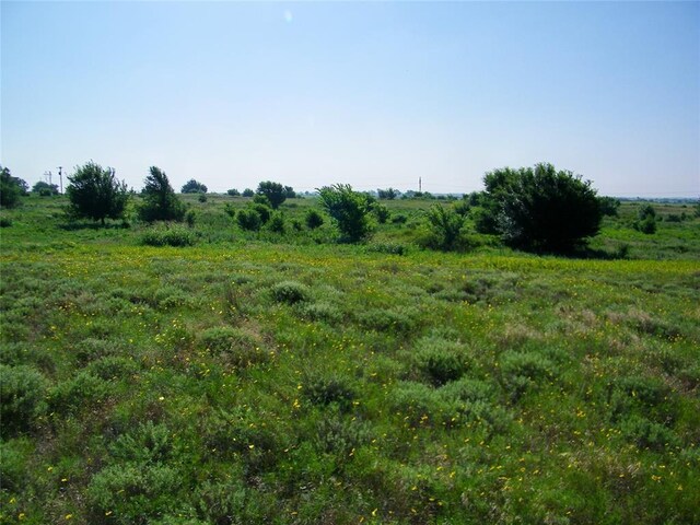 County St Unit 2700, Cyril, OK 73029 - photo 9
