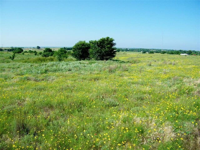 County St Unit 2700, Cyril, OK 73029 - photo 12
