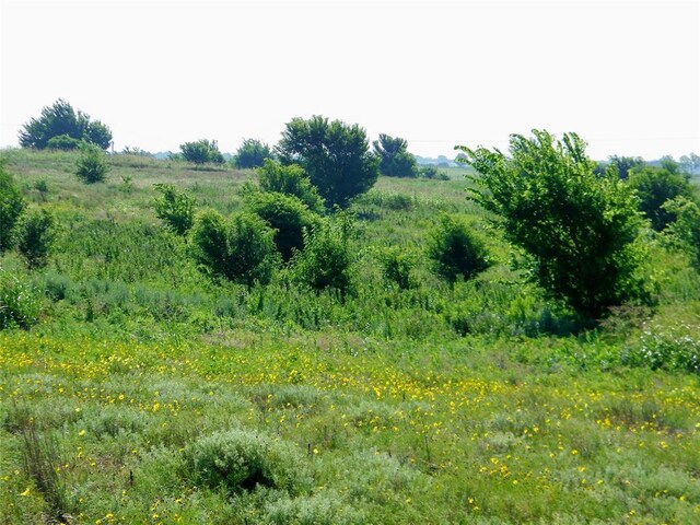 County St Unit 2700, Cyril, OK 73029 - photo 18
