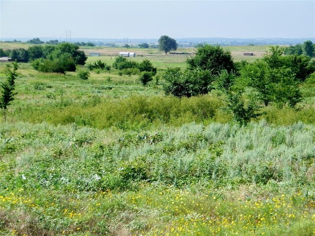 County St Unit 2700, Cyril, OK 73029 - photo 19