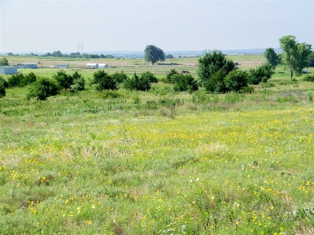 County St Unit 2700, Cyril, OK 73029 - photo 21