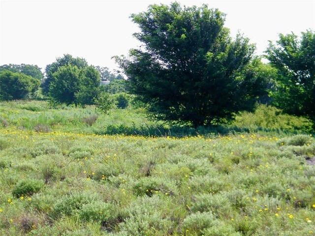County St Unit 2700, Cyril, OK 73029 - photo 23