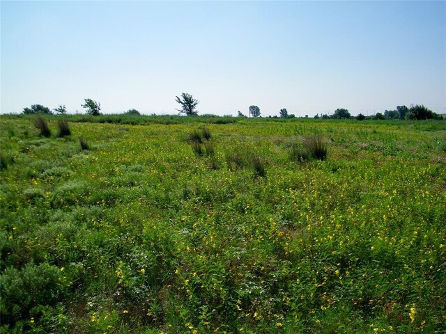 County St Unit 2700, Cyril, OK 73029 - photo 33