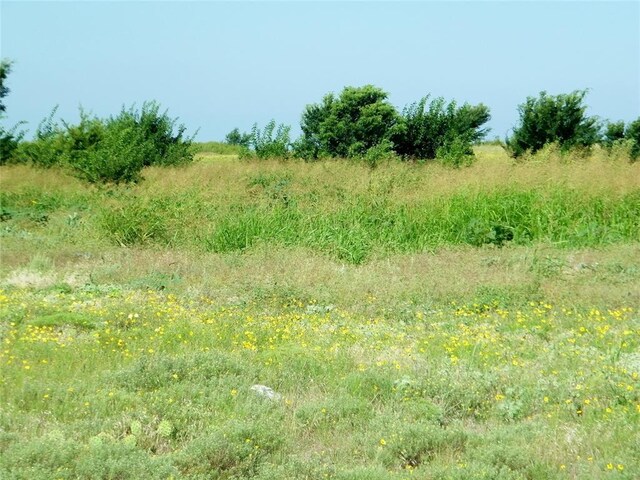 County St Unit 2700, Cyril, OK 73029 - photo 42