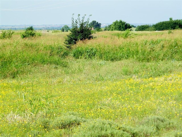 County St Unit 2700, Cyril, OK 73029 - photo 44