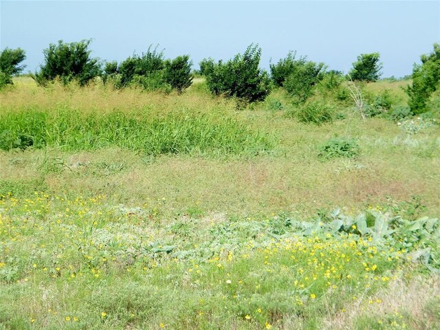 County St Unit 2700, Cyril, OK 73029 - photo 45