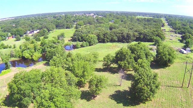 2299 Coretta Ave, Duncan, OK 73534 - drone / aerial view of a large body of water