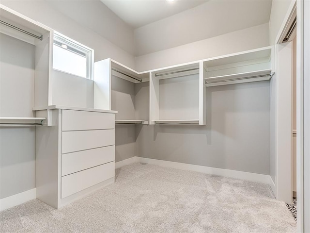 6881 Lake View Ct, Cashion, OK 73016 - walk in closet with carpet floors