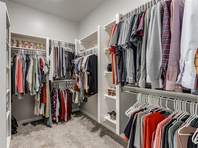 1391 Hickory Trl, Piedmont, OK 73078 - walk in closet with carpet floors