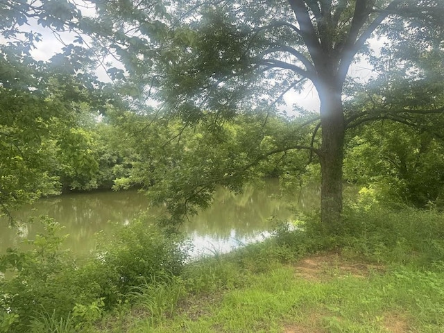 7013 Morning Song Dr, Oklahoma City, OK 73150 - water view with a heavily wooded area