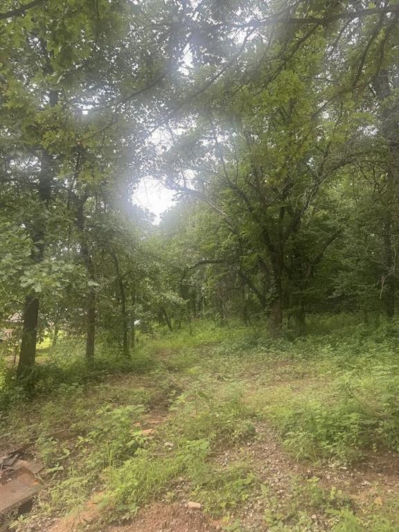 7013 Morning Song Dr, Oklahoma City, OK 73150 - view of wooded area