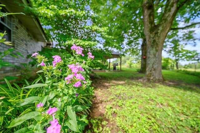 753 Glover Rd, Broken Bow, OK 74728 - photo 9