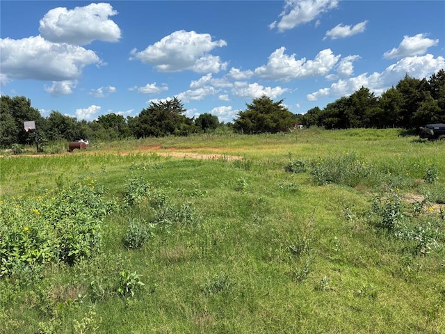 view of undeveloped land featuring rural landscape