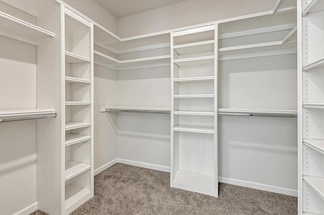 1069 Rheagen Kay Ave, Tuttle, OK 73089 - spacious closet featuring carpet floors