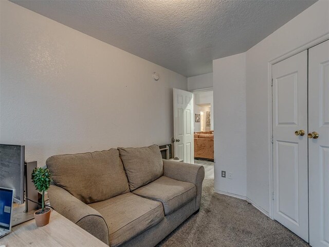 629 NW 121st St, Oklahoma City, OK 73114 - living room with carpet flooring and a textured ceiling