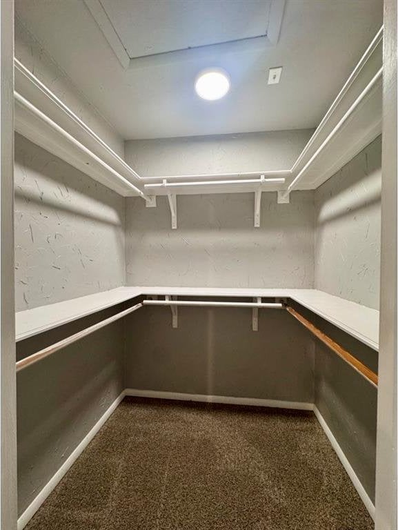 1412 NW 96th St, Oklahoma City, OK 73114 - walk in closet with dark colored carpet