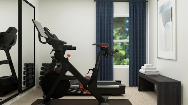 3704 Palmetto Bluff Dr, Mustang, OK 73064 - exercise area with plenty of natural light