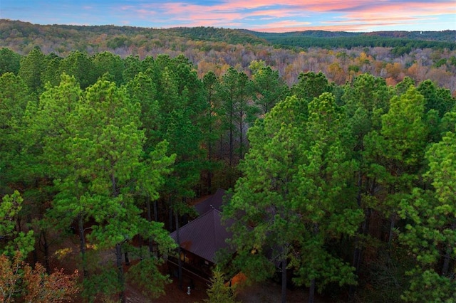 113 Ridgeline Trl, Broken Bow, OK 74728 - photo 42