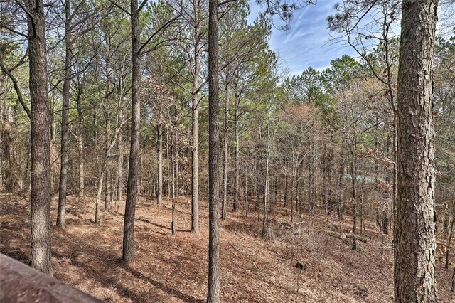 58 Oxbow Ln, Broken Bow, OK 74728 - photo 41