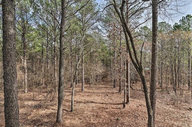 58 Oxbow Ln, Broken Bow, OK 74728 - photo 42