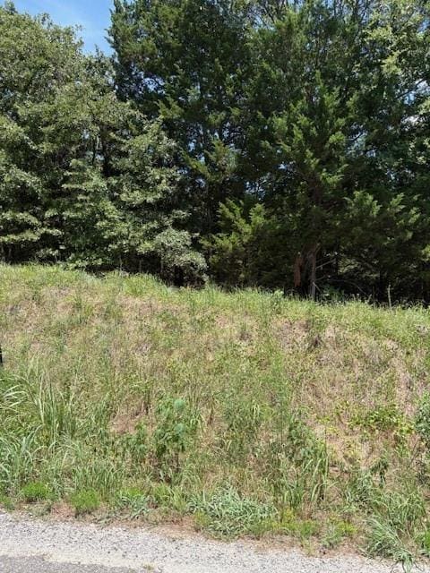N Chickasaw St, Colbert, OK 74733 - photo 1