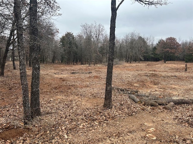 23216 Highland Ln, Blanchard, OK 73010 - photo 5