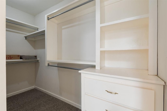 1723 Grey Hawk Rd, Edmond, OK 73003 - walk in closet with dark carpet