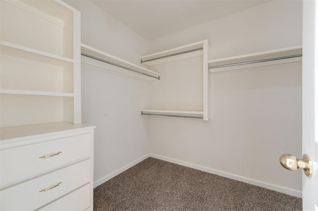 1723 Grey Hawk Rd, Edmond, OK 73003 - walk in closet with dark carpet