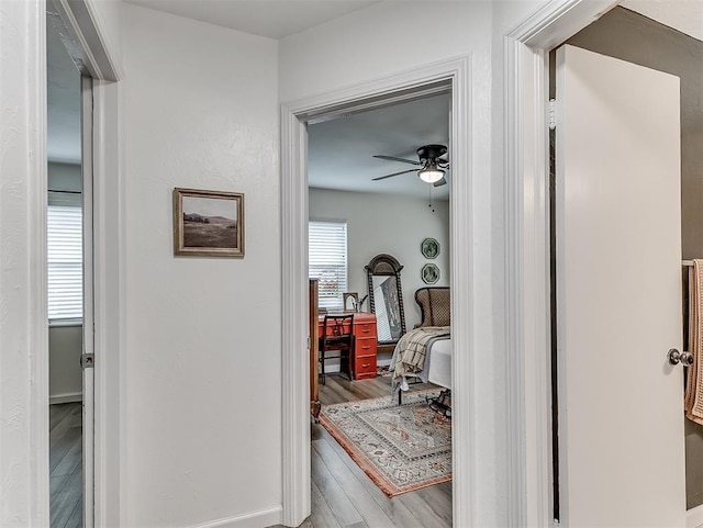 2244 Downing St, Oklahoma City, OK 73120 - corridor with wood finished floors