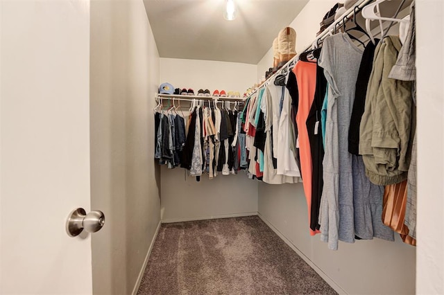 1621 Tumbleweed Way, El Reno, OK 73036 - spacious closet featuring carpet floors