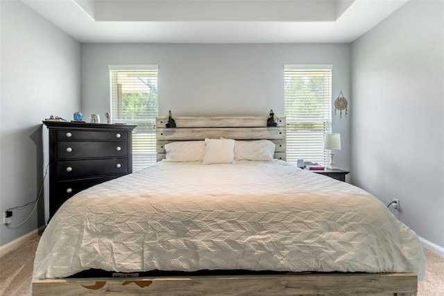 2666 Legacy Pl, Shawnee, OK 74804 - bedroom with carpet and a tray ceiling