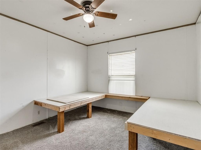 27795 N 2880th Rd, Kingfisher, OK 73750 - unfurnished office with carpet floors and ceiling fan