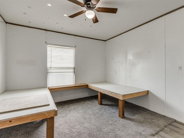 27795 N 2880th Rd, Kingfisher, OK 73750 - unfurnished bedroom with carpet flooring and ceiling fan