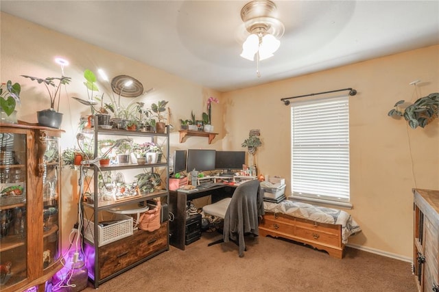 957 N Windermere Dr, Moore, OK 73160 - office area with ceiling fan and carpet