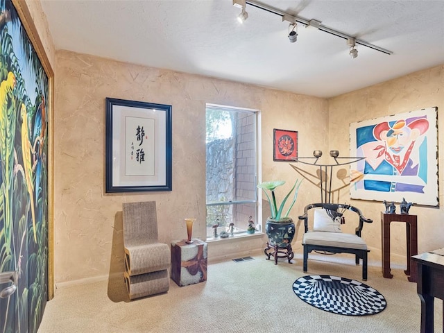 7501 Brookside Dr, Oklahoma City, OK 73132 - living area featuring rail lighting, a textured wall, and carpet floors