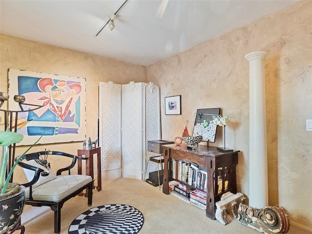 7501 Brookside Dr, Oklahoma City, OK 73132 - home office with carpet floors, a textured wall, and track lighting