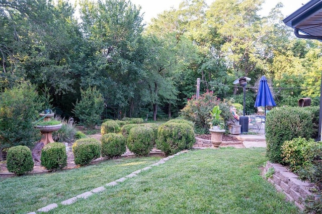 1301 E Rock Creek Rd, Tuttle, OK 73089 - view of green lawn