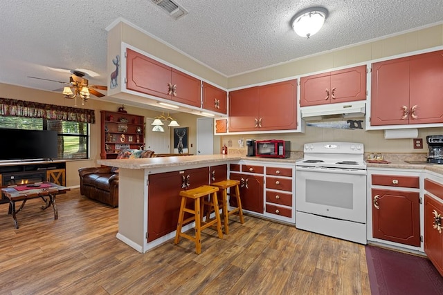 17 Halibut Bay Rd, Broken Bow, OK 74728 - kitchen featuring white range with electric stovetop, under cabinet range hood, a textured ceiling, open floor plan, and dark wood-style floors