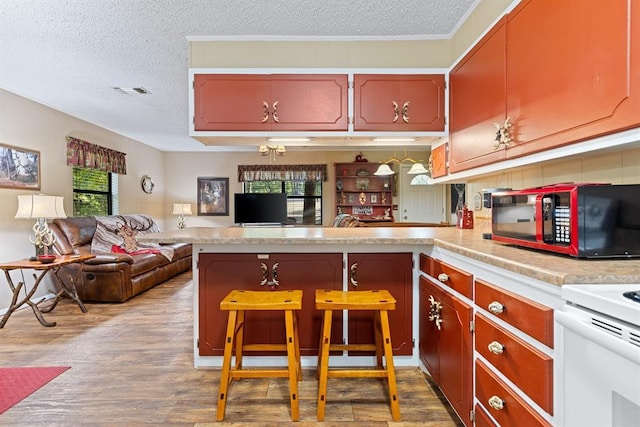 17 Halibut Bay Rd, Broken Bow, OK 74728 - kitchen featuring a textured ceiling, open floor plan, light countertops, a peninsula, and wood finished floors