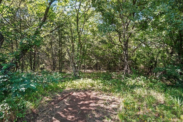 102078 S 3480th Rd, Meeker, OK 74855 - view of wooded area