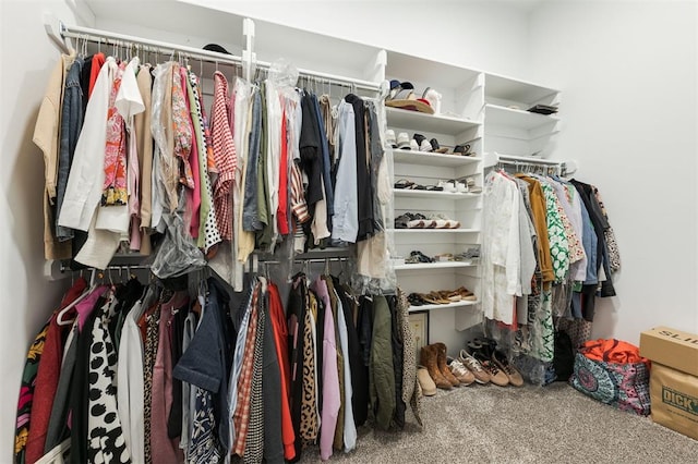 13 Ivory Dr, Yukon, OK 73099 - walk in closet with carpet flooring