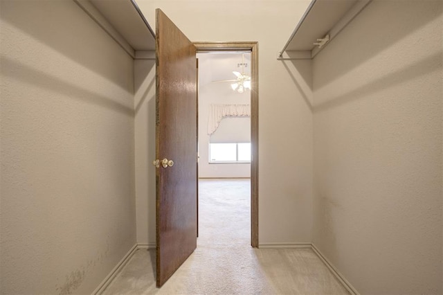 2401 Westchester Dr, Moore, OK 73160 - walk in closet featuring light colored carpet