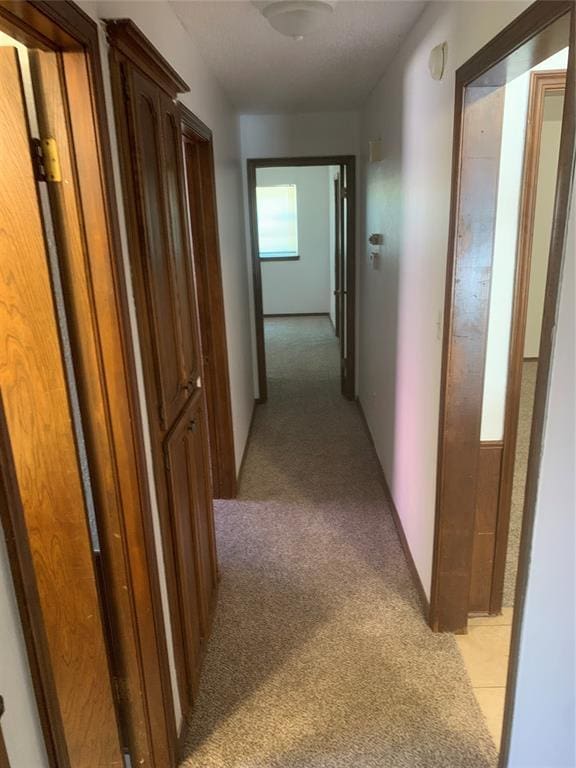 515 Cripple Creek Dr, Norman, OK 73071 - corridor featuring light carpet