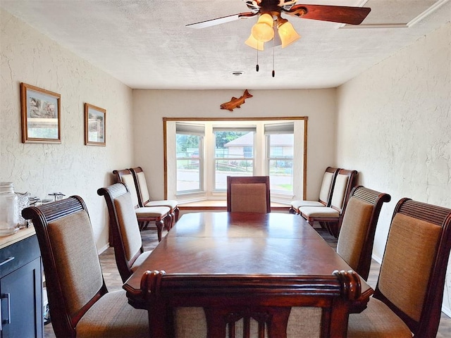 2901 Maple Ln, Edmond, OK 73034 - dining space with a textured wall, a textured ceiling, and ceiling fan