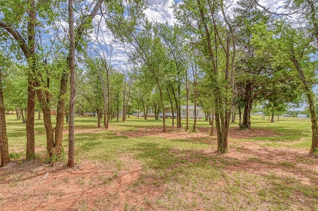 109 E Riddle Rd, Chickasha, OK 73018 - photo 45